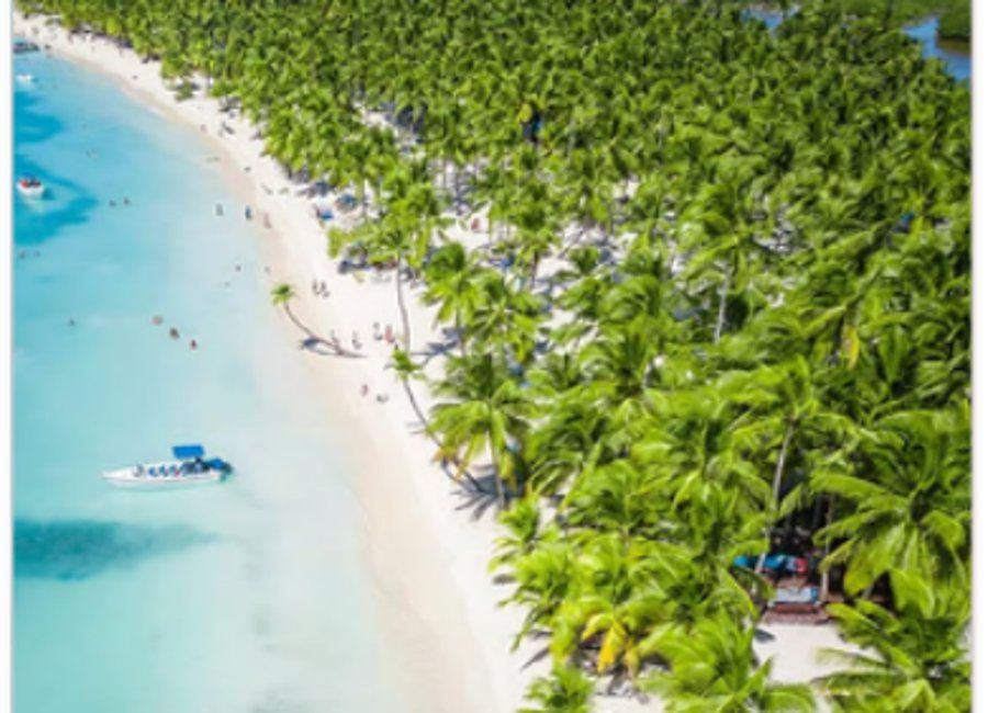 Isla Saona · imagen 4
